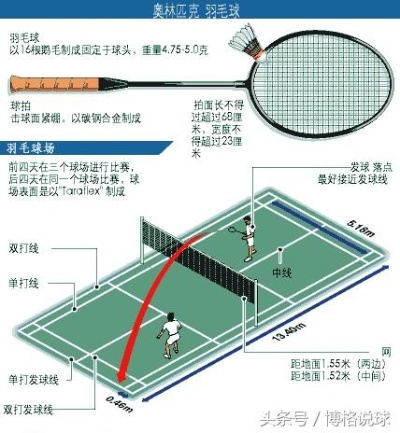 羽毛球场地标准尺寸介绍（从大小到比赛规则全掌握）