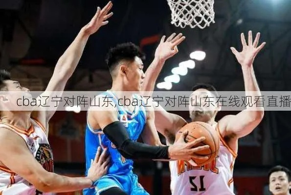 cba直播山东 山东队cba比赛直播实况-第2张图片-www.211178.com_果博福布斯